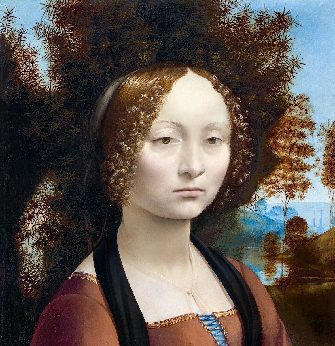 Leonardo da Vinci: Ginevra de' Benci photo